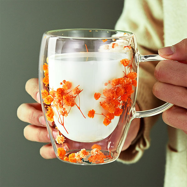 Glass Cup Double Wall